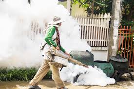 Pengasapan (Fogging) Pencegahan Nyamuk DBD